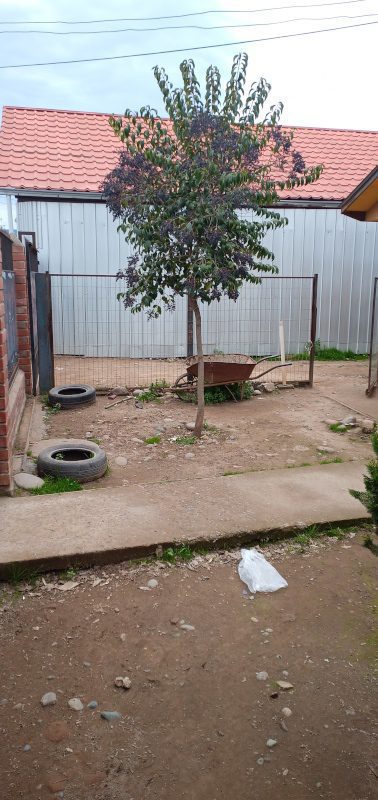 Terreno Urbano para Uso Comercial, San Fernando - Imagen 12