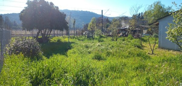 Terreno para Uso Habitacional o Comercial.  3.540 UF - Imagen 4