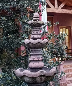 Antejardín consolidado con especies nativas, frutales con fuente de agua.